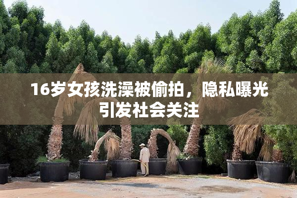 16岁女孩洗澡被偷拍，隐私曝光引发社会关注
