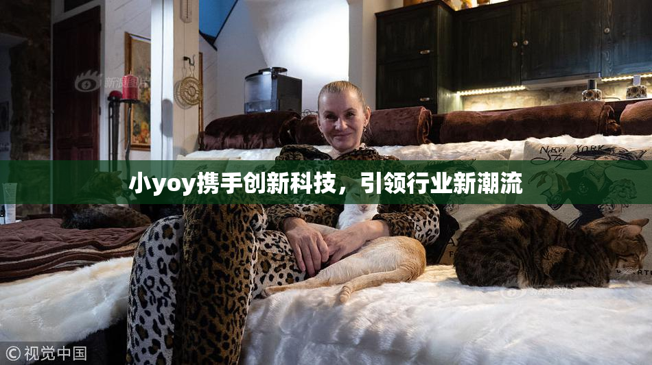 小yoy携手创新科技，引领行业新潮流