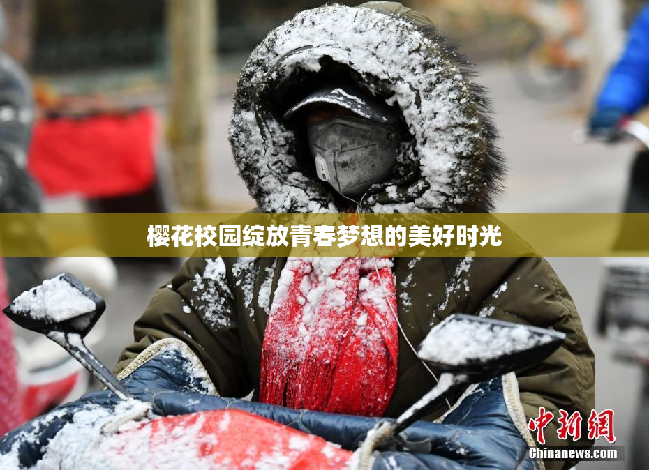 樱花校园绽放青春梦想的美好时光