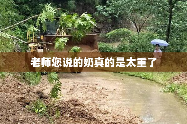 老师您说的奶真的是太重了