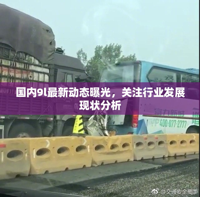 国内9l最新动态曝光，关注行业发展现状分析