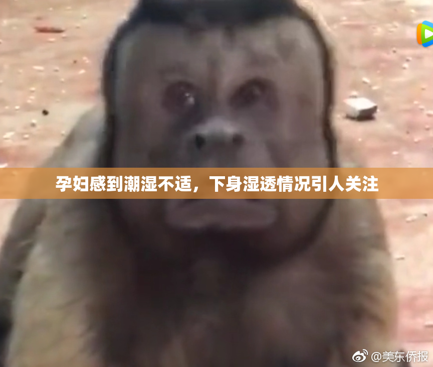 孕妇感到潮湿不适，下身湿透情况引人关注
