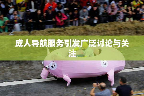 成人导航服务引发广泛讨论与关注