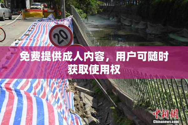 免费提供成人内容，用户可随时获取使用权