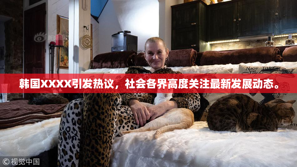 韩国XXXX引发热议，社会各界高度关注最新发展动态。
