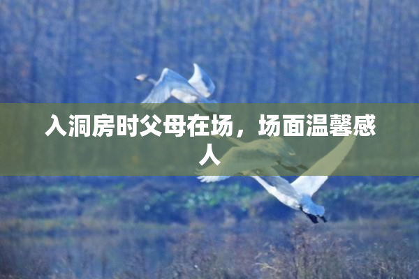 入洞房时父母在场，场面温馨感人