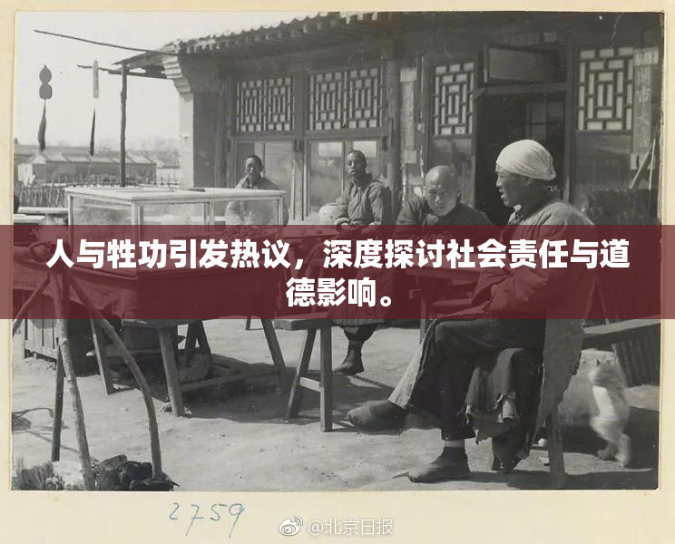 人与牲功引发热议，深度探讨社会责任与道德影响。