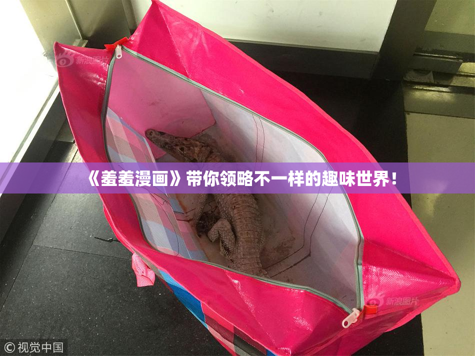 《羞羞漫画》带你领略不一样的趣味世界！