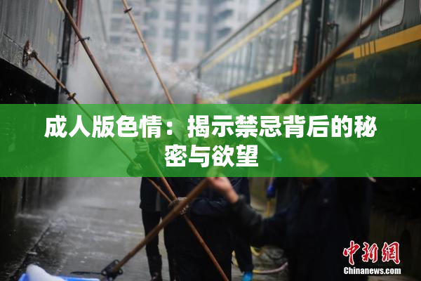 成人版色情：揭示禁忌背后的秘密与欲望