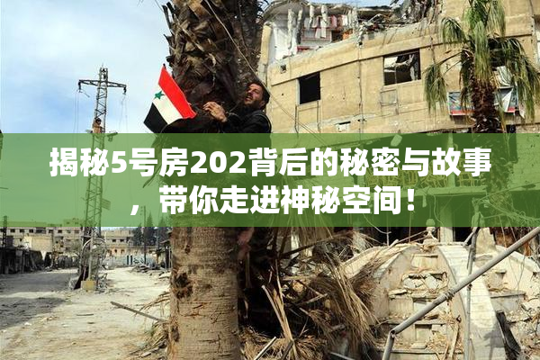 揭秘5号房202背后的秘密与故事，带你走进神秘空间！