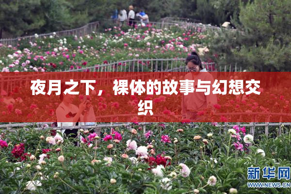 夜月之下，裸体的故事与幻想交织