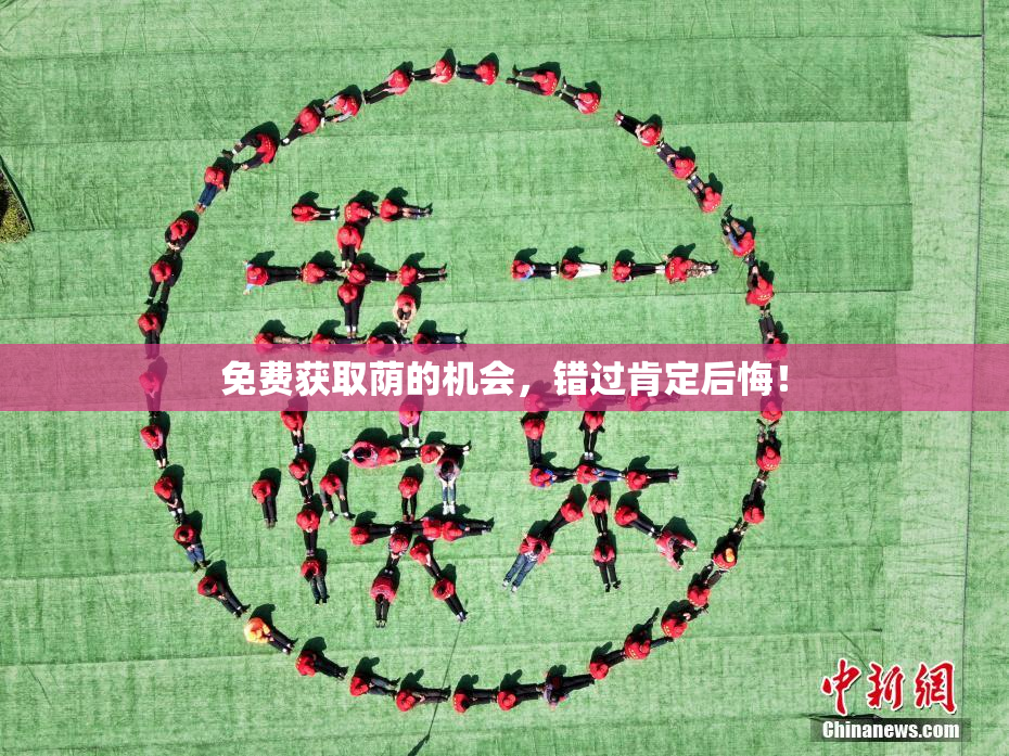 免费获取荫的机会，错过肯定后悔！