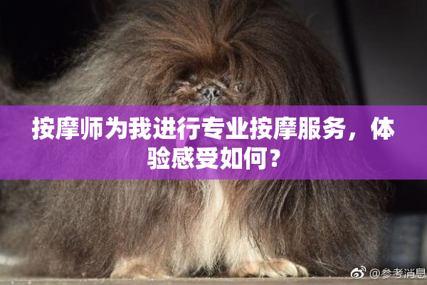按摩师为我进行专业按摩服务，体验感受如何？