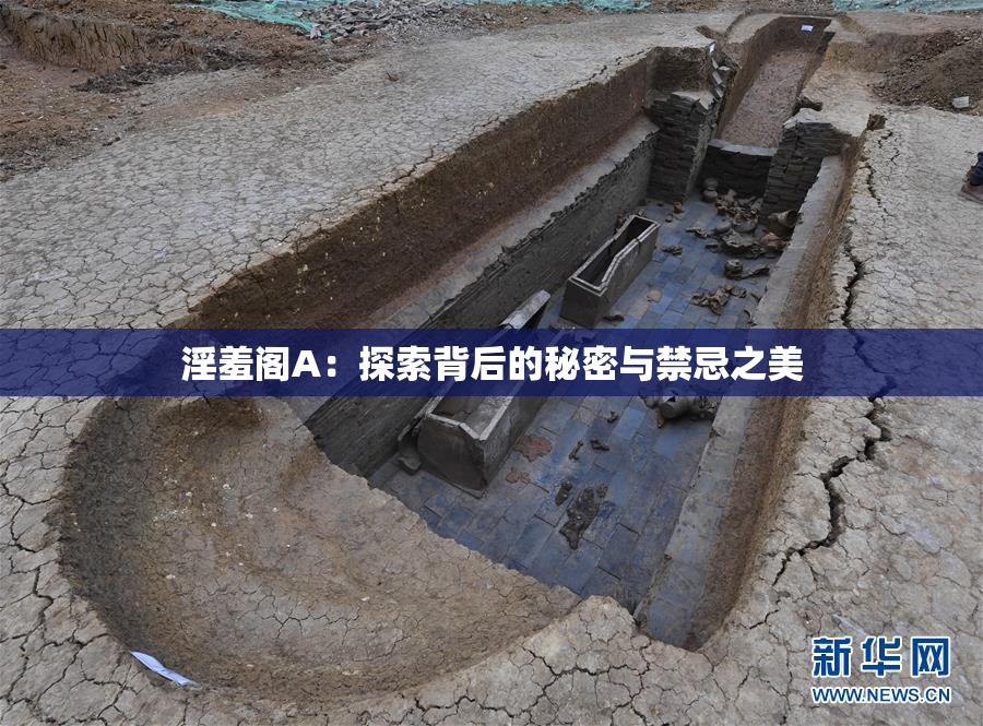 淫羞阁A：探索背后的秘密与禁忌之美