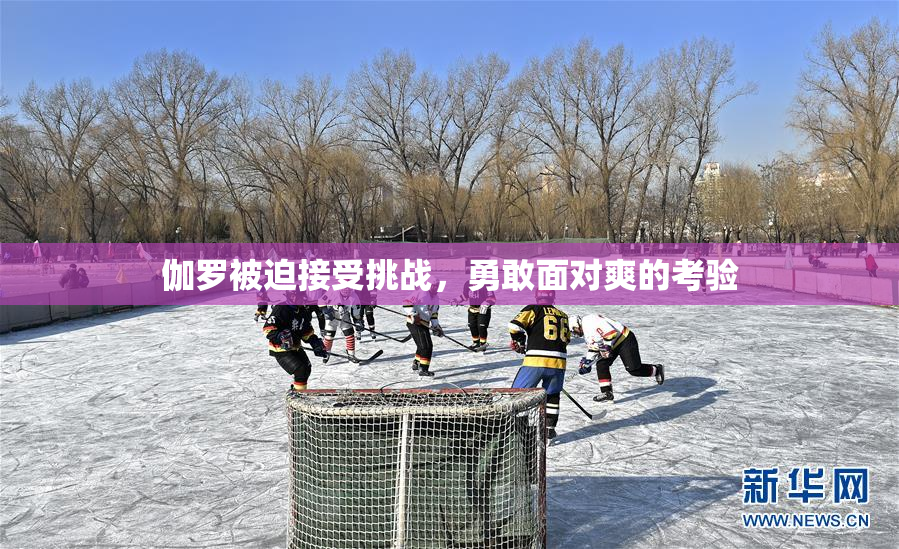 伽罗被迫接受挑战，勇敢面对爽的考验