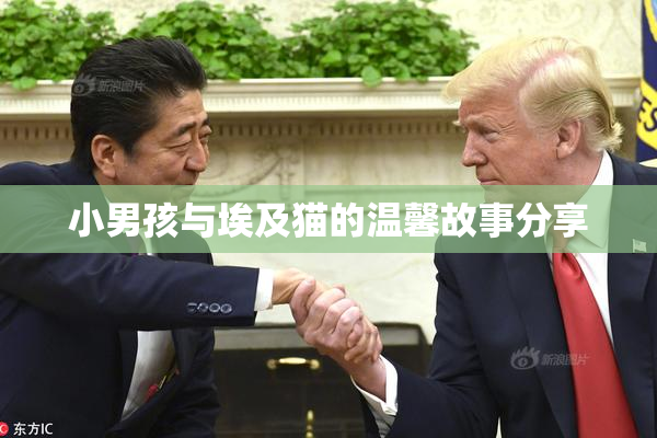 小男孩与埃及猫的温馨故事分享