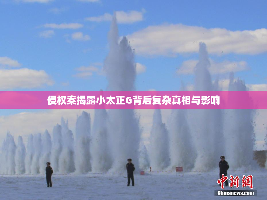 侵权案揭露小太正G背后复杂真相与影响