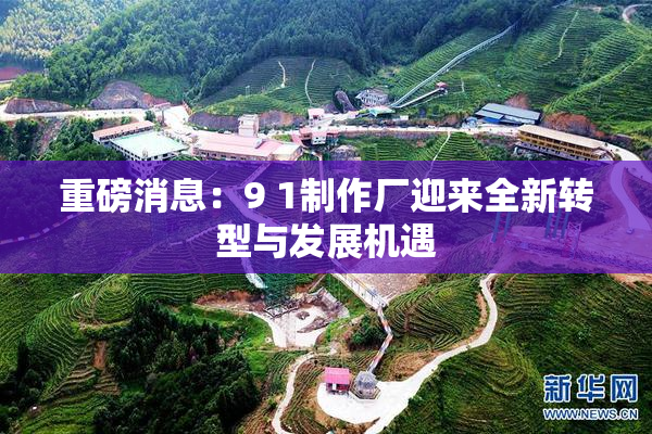 重磅消息：9 1制作厂迎来全新转型与发展机遇