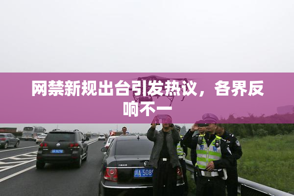 网禁新规出台引发热议，各界反响不一