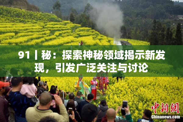 91丨秘：探索神秘领域揭示新发现，引发广泛关注与讨论