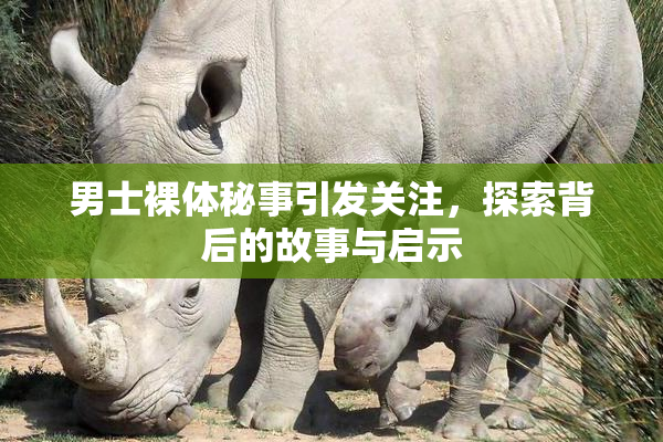 男士裸体秘事引发关注，探索背后的故事与启示