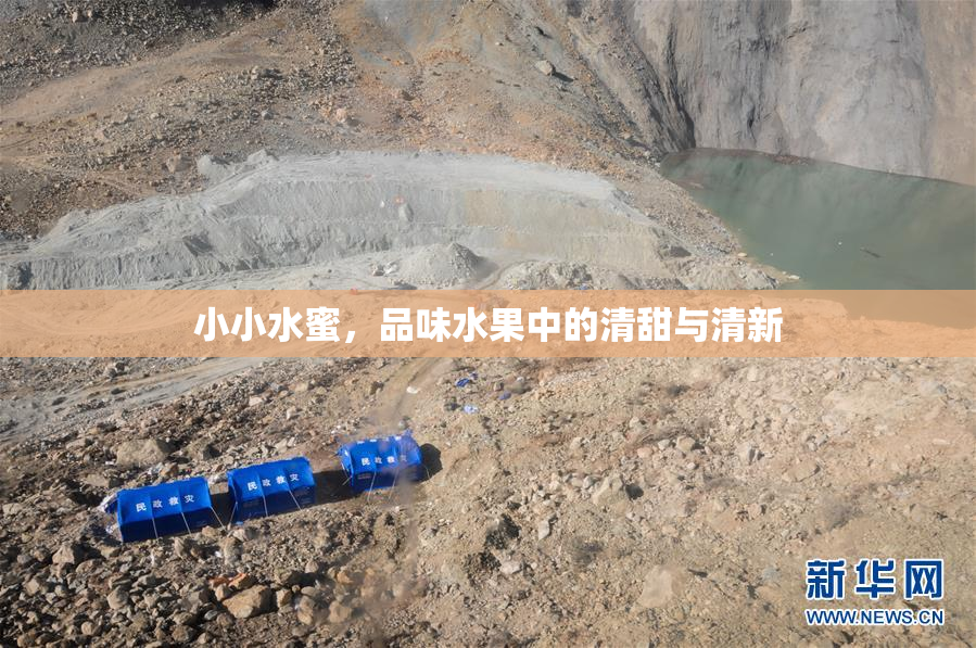 小小水蜜，品味水果中的清甜与清新