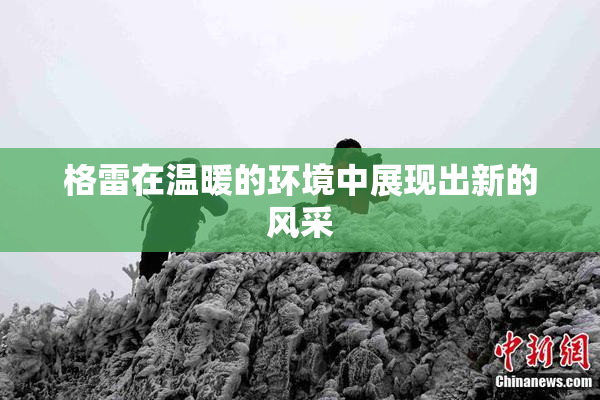 格雷在温暖的环境中展现出新的风采