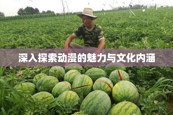 深入探索动漫的魅力与文化内涵