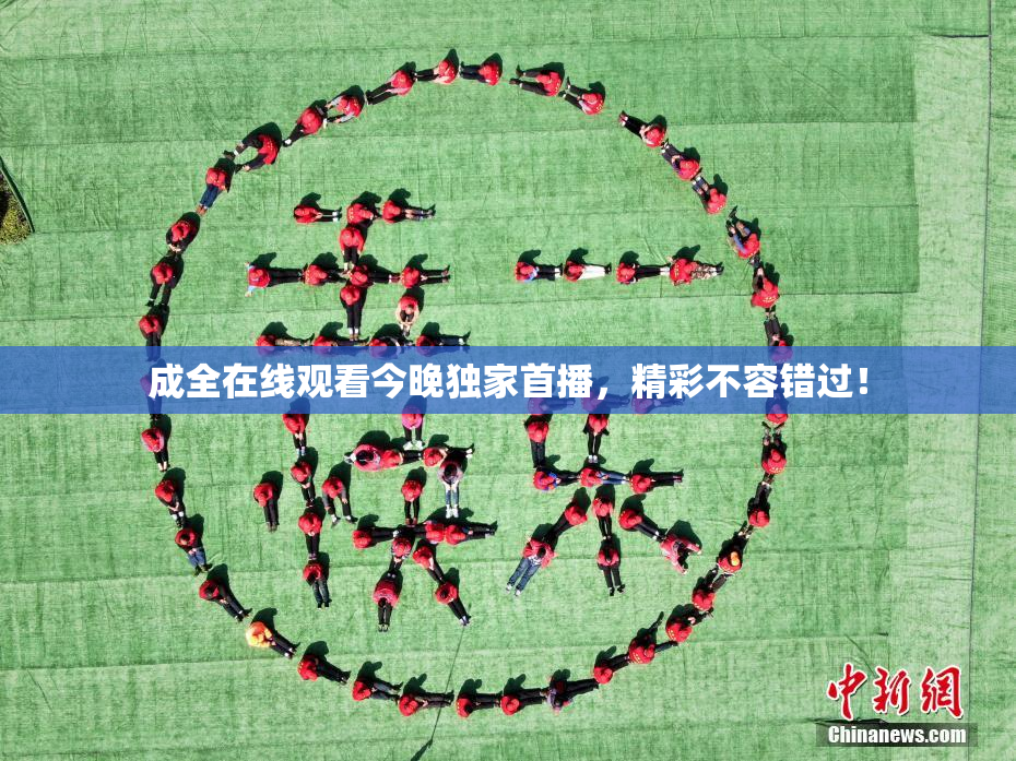 成全在线观看今晚独家首播，精彩不容错过！