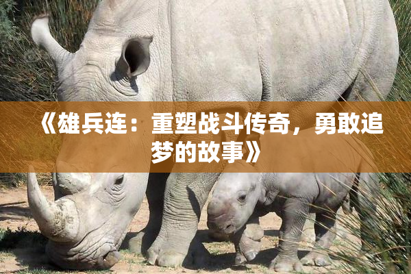 《雄兵连：重塑战斗传奇，勇敢追梦的故事》