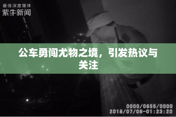 公车勇闯尤物之境，引发热议与关注