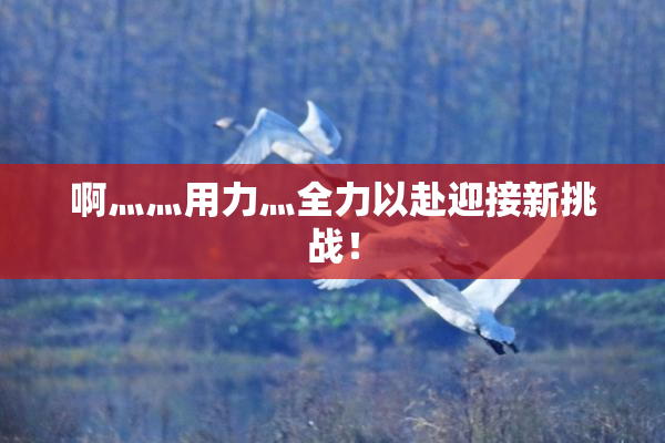 啊灬灬用力灬全力以赴迎接新挑战！