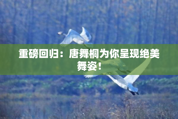 重磅回归：唐舞桐为你呈现绝美舞姿！