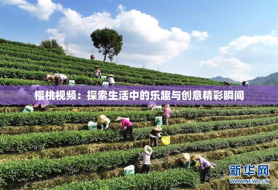 樱桃视频：探索生活中的乐趣与创意精彩瞬间