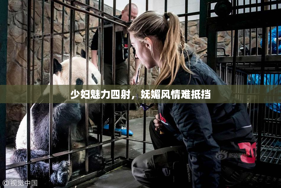 少妇魅力四射，妩媚风情难抵挡