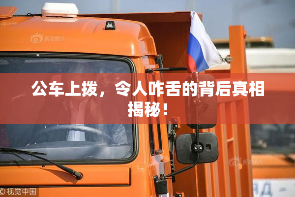 公车上拨，令人咋舌的背后真相揭秘！