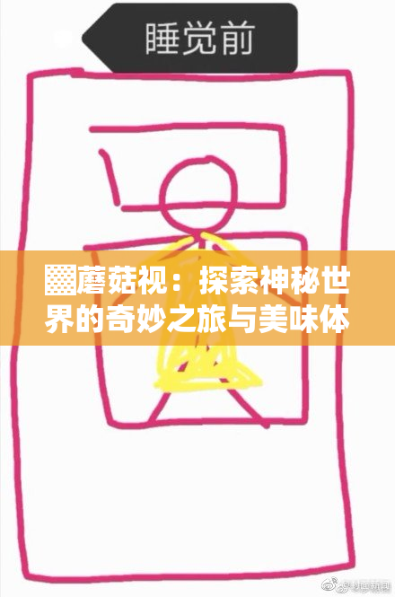 ▓蘑菇视：探索神秘世界的奇妙之旅与美味体验