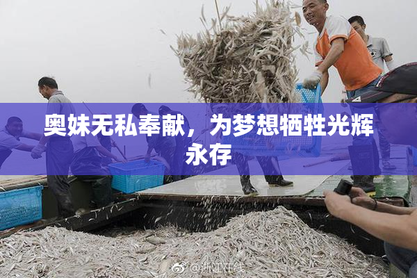 奥妹无私奉献，为梦想牺牲光辉永存