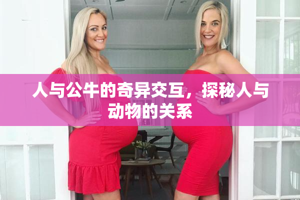 人与公牛的奇异交互，探秘人与动物的关系
