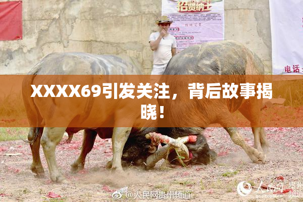 XXXX69引发关注，背后故事揭晓！