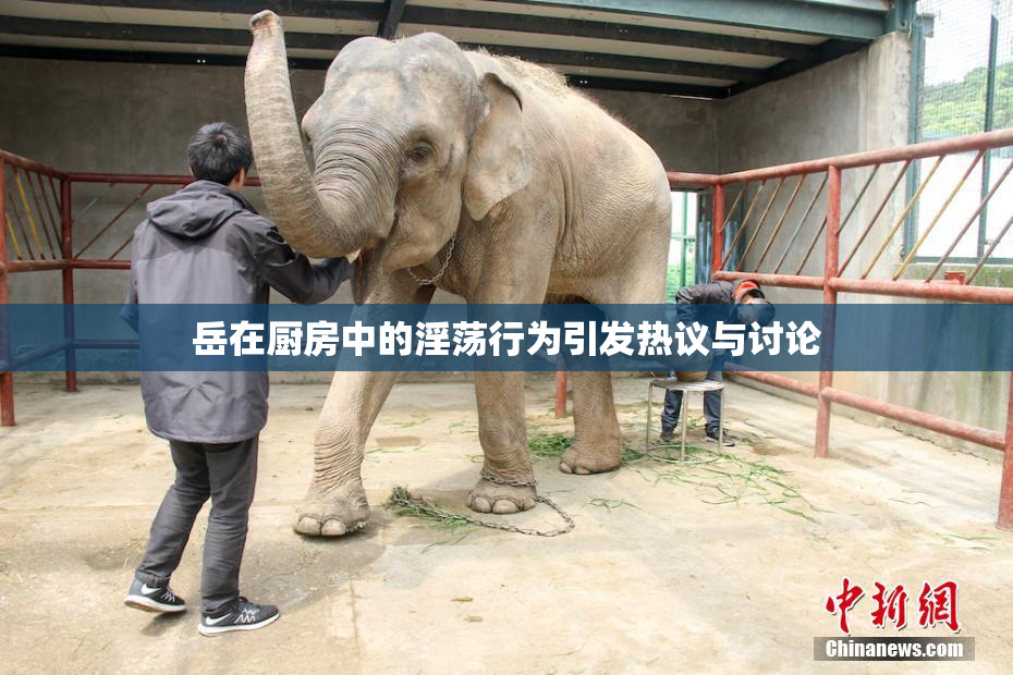 岳在厨房中的淫荡行为引发热议与讨论