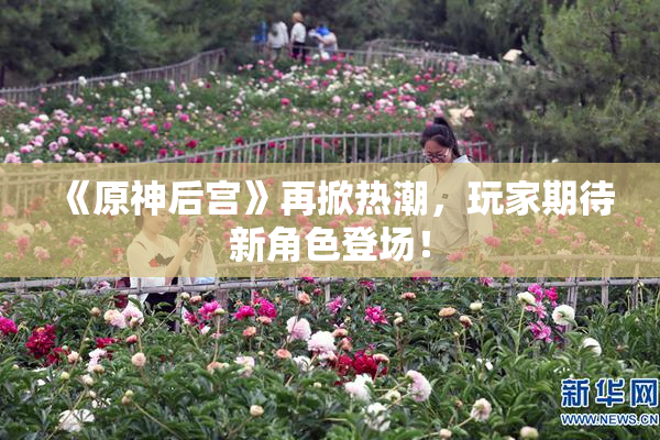 《原神后宫》再掀热潮，玩家期待新角色登场！