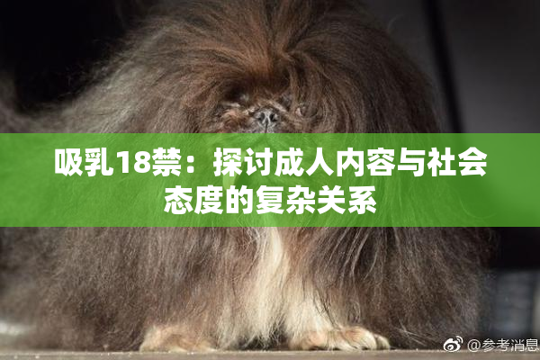 吸乳18禁：探讨成人内容与社会态度的复杂关系