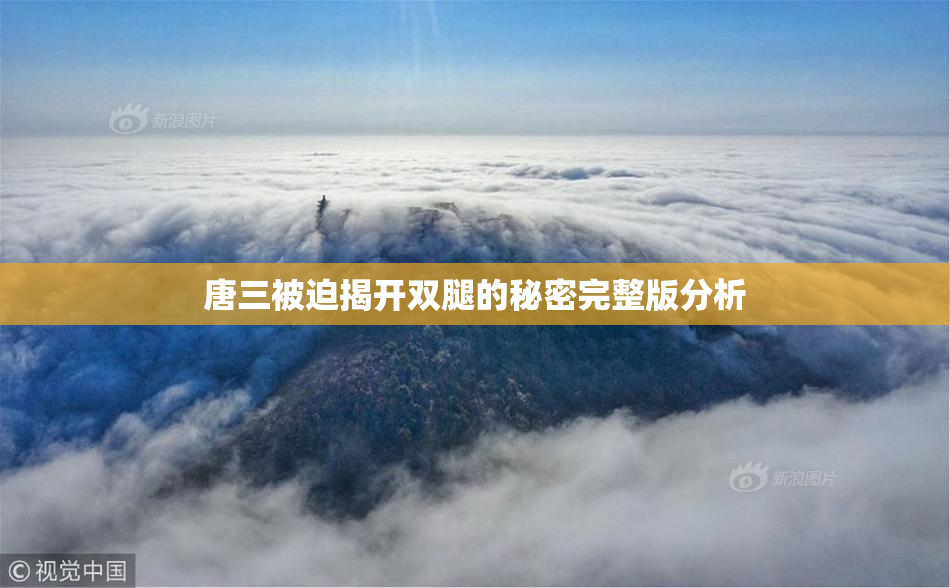唐三被迫揭开双腿的秘密完整版分析