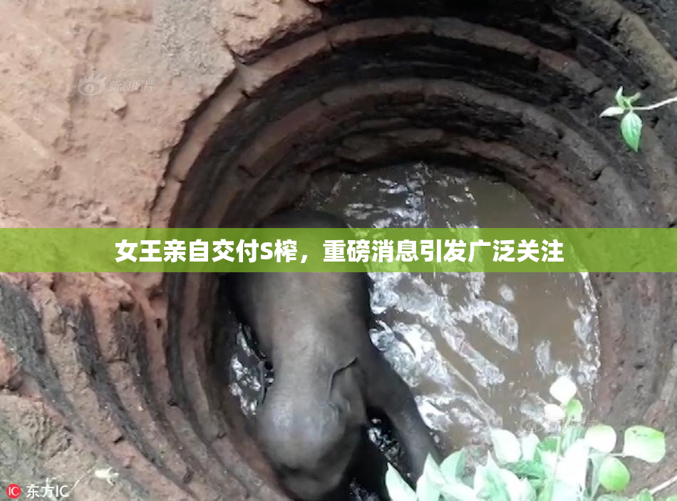 女王亲自交付S榨，重磅消息引发广泛关注