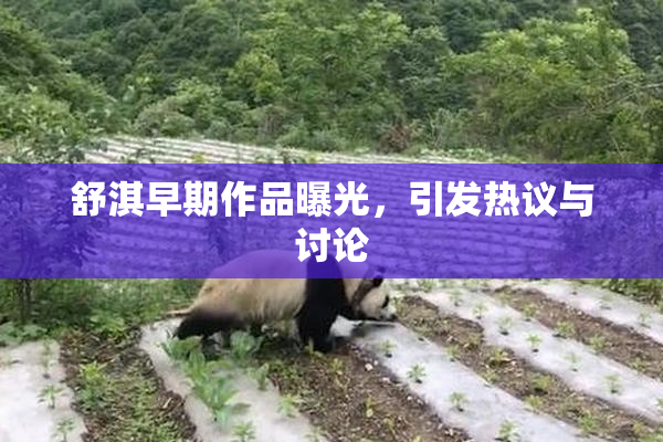 舒淇早期作品曝光，引发热议与讨论