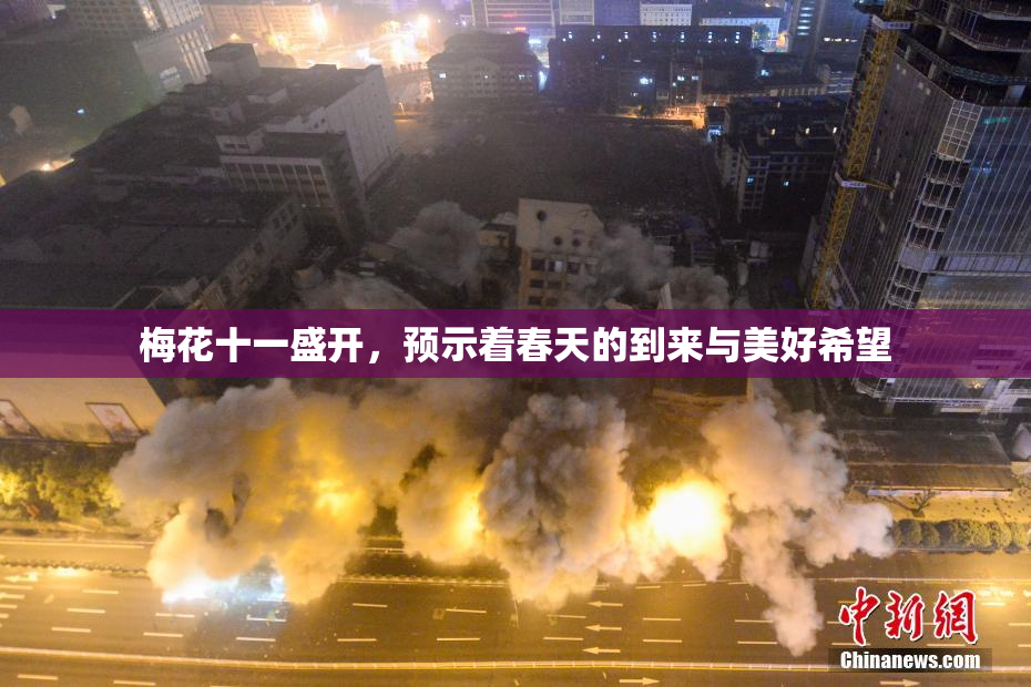 梅花十一盛开，预示着春天的到来与美好希望