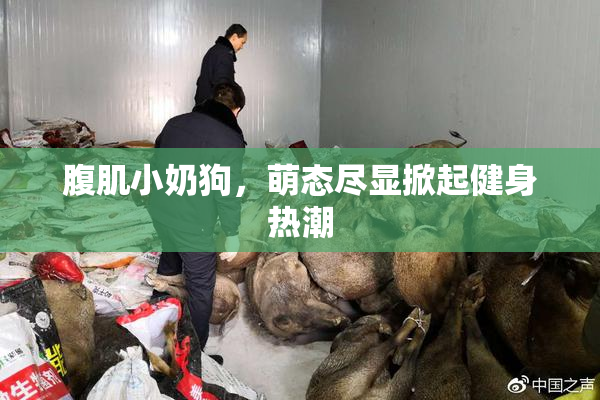 腹肌小奶狗，萌态尽显掀起健身热潮