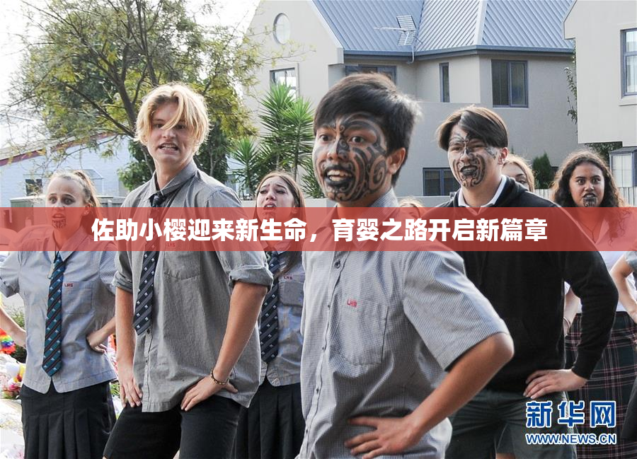 佐助小樱迎来新生命，育婴之路开启新篇章