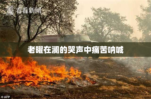 老曜在澜的哭声中痛苦呐喊
